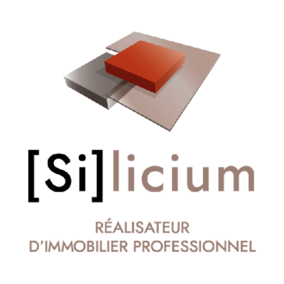 log_silicium512v2